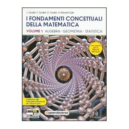 fondamenti-concettuali-matemat1-allls