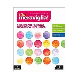 CHE-MERAVIGLIA-STRUMENTI-PER-UNA-DIDATTICA-INCLUSIVA-Vol