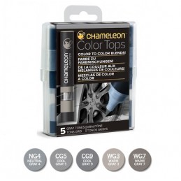 color-tops-chameleon-gray-tones-toni-grigi-confezione-5-pezzi