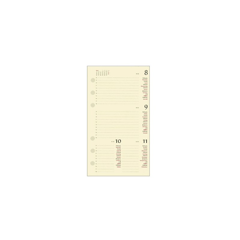 ricambio-organizer-2023-cm-8x13-fogli-avorio
