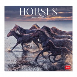 calendario-da-parete-2023-horse--cm30x29