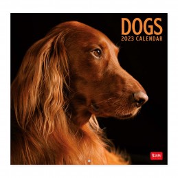 calendario-da-parete-2023-dogs--cm30x29