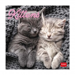 calendario-da-tavolo-2023-kittens--cm12x15