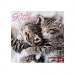 calendario-da-parete-2024-legami-kittens-30-x-29-cm