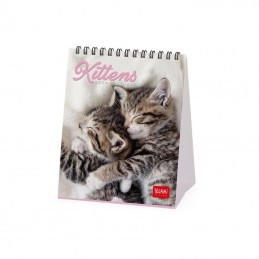 calendario-da-tavolo-2024-legami-kittens-12-x-145-cm