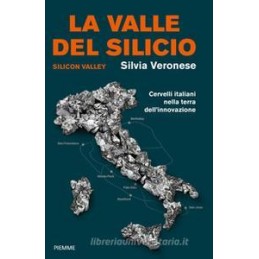valle-del-silicio-la