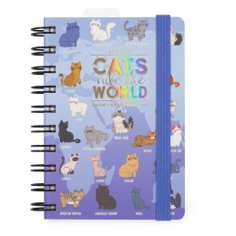 agenda-12-mesi-2025-giornaliera-small-spiralata-cm85x13-kitty