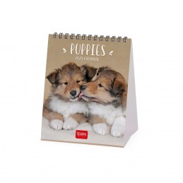 calendario-da-tavolo-legami-2025-cm12x145-puppies