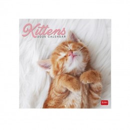 calendario-da-parete-legami-2025-cm30-x-29-kittens