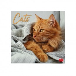 calendario-da-parete-legami-2025-cm30-x-29-cats