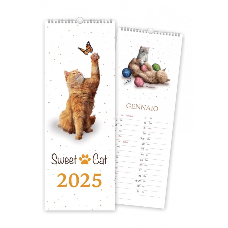 calendario-da-muro-2025-akena-seet-cat-spirale-445x165cm