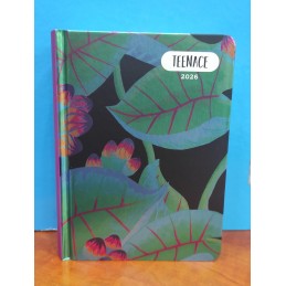 diario-scuola-teenace-pocket-diario-giornaliero-datato-12-mesi-2026