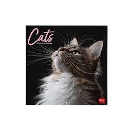 calendario-legami-2026-cats
