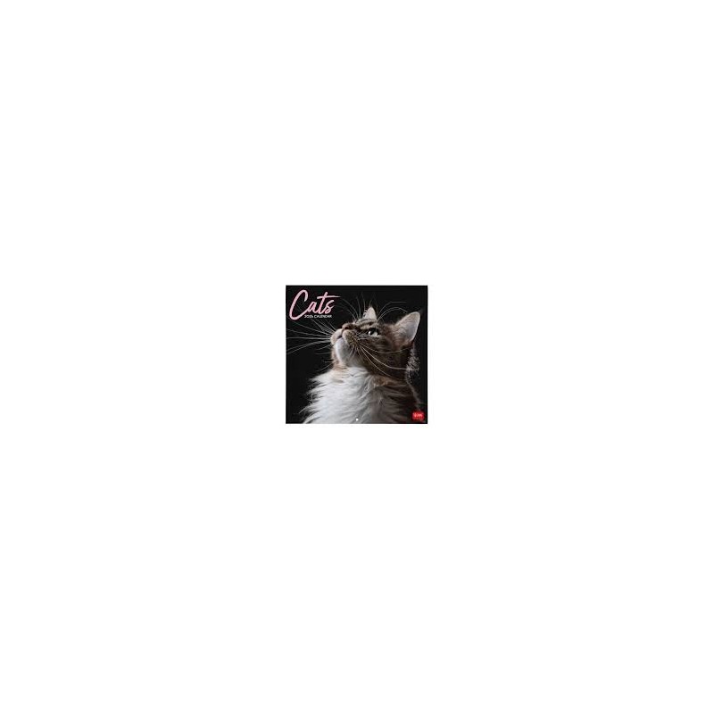 calendario-legami-2026-cats calendario-legami-2026-cats