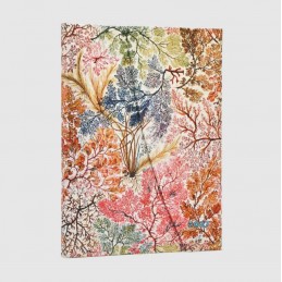 agenda-2027-paperblanks-12-mesi-copertina-rigida-midi-settimanale-verticale-anemone